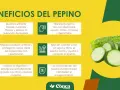 Beneficios del pepino: hidrata, ayuda a eliminar toxinas, regula la presión, mejora digestión y cuida la piel. ¡Un aliado para tu salud!