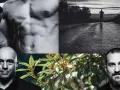 Hombres fuertes, un corredor al amanecer y una rama con hojas y flores, evocando la potencia natural del tongkat ali.