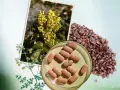 Berberina para adelgazar: extracto de planta amarilla, bayas secas y pastillas en un plato.