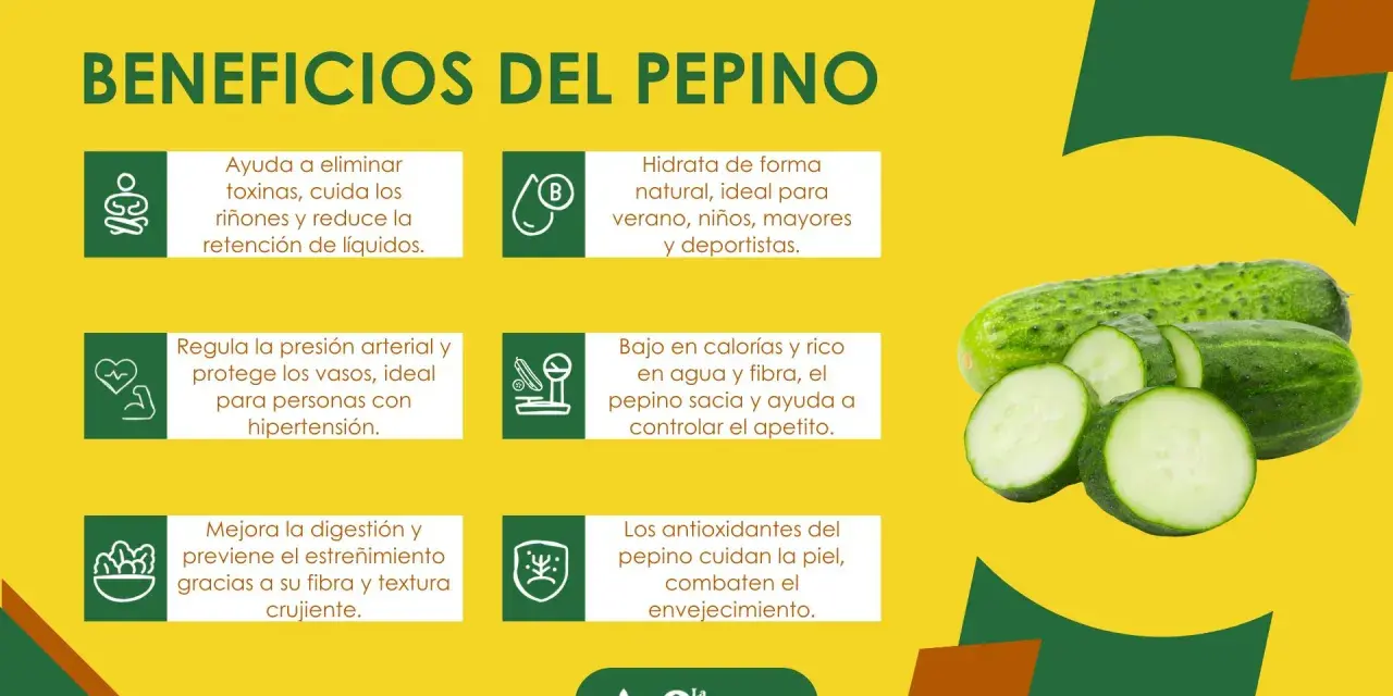 Beneficios del pepino: hidrata, ayuda a eliminar toxinas, regula la presión, mejora digestión y cuida la piel. ¡Un aliado para tu salud!