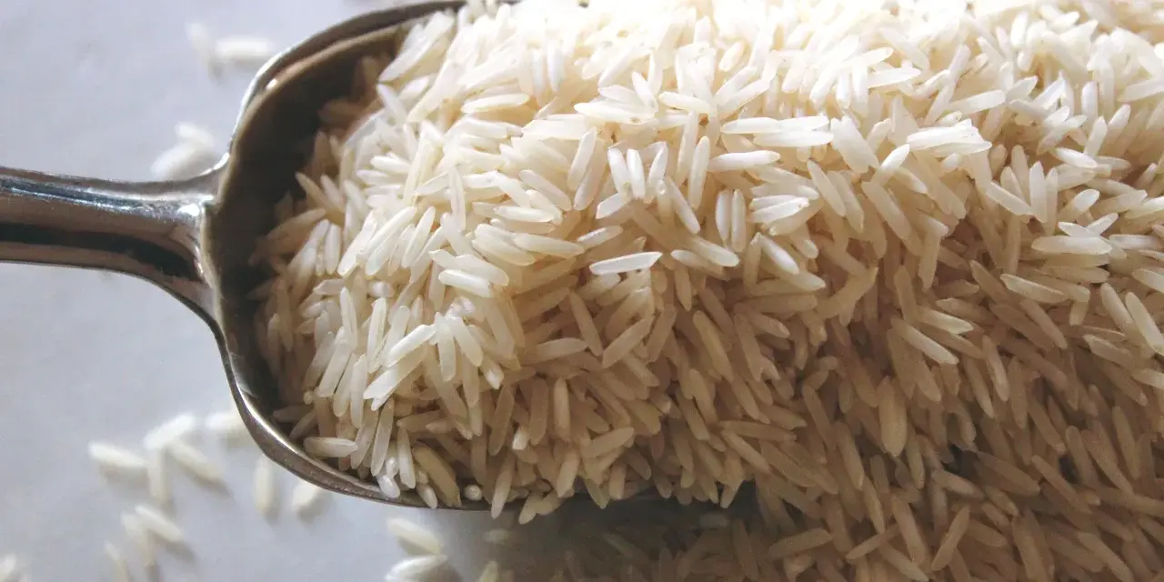 Cuchara llena de arroz basmati. Aunque la crema de arroz engorda, este grano es un carbohidrato básico.