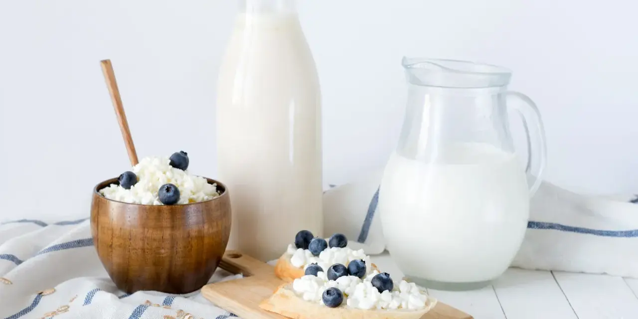 Desayuno saludable: requesón con arándanos, pan y leche. La caseína es una proteína láctea.