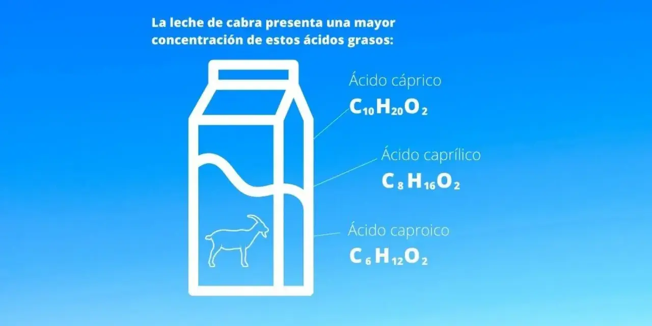La leche de cabra, con sus ácidos grasos, ¿la leche de cabra engorda o adelgaza? La imagen muestra una caja de leche con una cabra y los ácidos cáprico, caprílico y caproico.