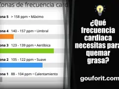 Tabla de zonas de frecuencia cardíaca para quemar grasa. Muestra rangos de pulsaciones para calentamiento, suave, aeróbico, umbral y máximo.