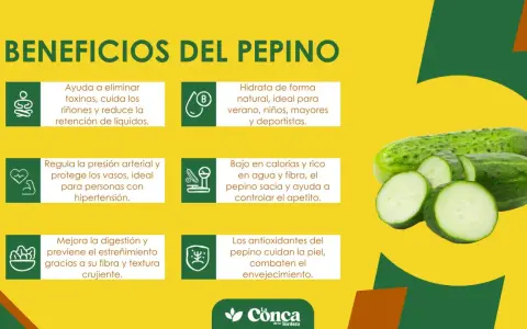 Beneficios del pepino: hidrata, ayuda a eliminar toxinas, regula la presión, mejora digestión y cuida la piel. ¡Un aliado para tu salud!