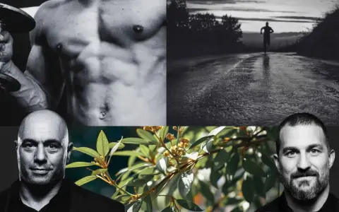 Hombres fuertes, un corredor al amanecer y una rama con hojas y flores, evocando la potencia natural del tongkat ali.