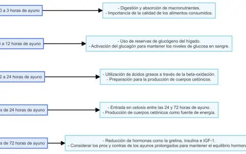 Diagrama muestra procesos corporales durante el ayuno, desde 0 hasta más de 72 horas. El ayuno de 48 horas se sitúa en la fase de cetosis.