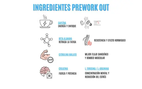 Ingredientes de pre-workout: cafeína para energía, beta alanina para retrasar fatiga, citrulina malato para mejor flujo sanguíneo, creatina para fuerza y L-tirosina/L-arginina para concentración.
