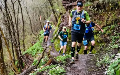 Corredores en un sendero boscoso, demostrando la resistencia necesaria para los ejercicios de fuerza para trail running.