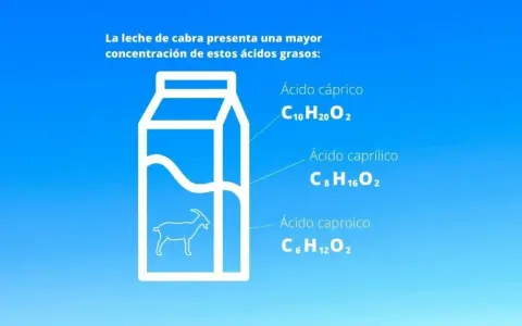 La leche de cabra, con sus ácidos grasos, ¿la leche de cabra engorda o adelgaza? La imagen muestra una caja de leche con una cabra y los ácidos cáprico, caprílico y caproico.