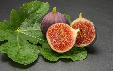 Dos higos morados, uno entero y otro partido por la mitad, reposan sobre hojas verdes y húmedas. ¡Qué delicia, los higos engordan!