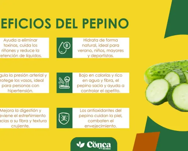 Beneficios del pepino: hidrata, ayuda a eliminar toxinas, regula la presión, mejora digestión y cuida la piel. ¡Un aliado para tu salud!