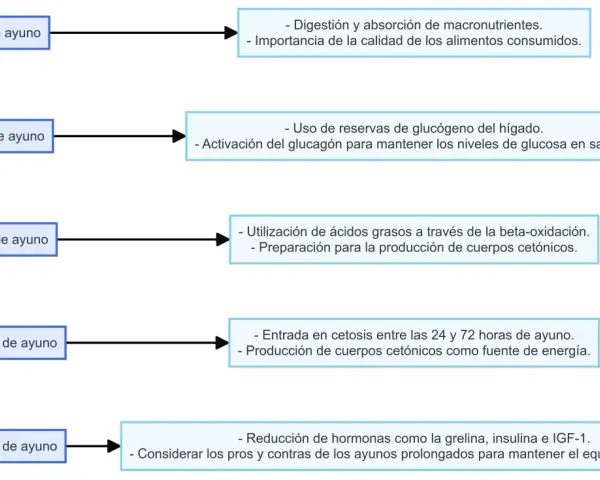 Diagrama muestra procesos corporales durante el ayuno, desde 0 hasta más de 72 horas. El ayuno de 48 horas se sitúa en la fase de cetosis.