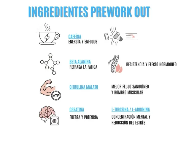 Ingredientes de pre-workout: cafeína para energía, beta alanina para retrasar fatiga, citrulina malato para mejor flujo sanguíneo, creatina para fuerza y L-tirosina/L-arginina para concentración.