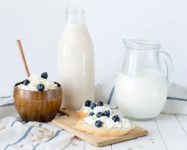 Desayuno saludable: requesón con arándanos, pan y leche. La caseína es una proteína láctea.