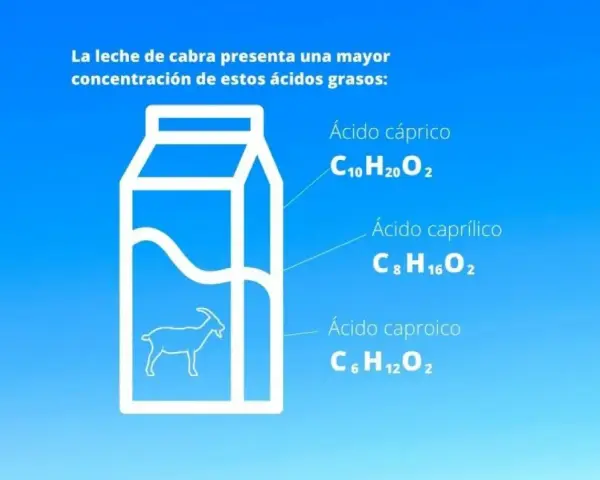 La leche de cabra, con sus ácidos grasos, ¿la leche de cabra engorda o adelgaza? La imagen muestra una caja de leche con una cabra y los ácidos cáprico, caprílico y caproico.