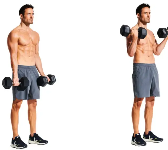 Hombre realizando curl de bíceps con mancuernas. Muestra la posición inicial y la fase de elevación del ejercicio.