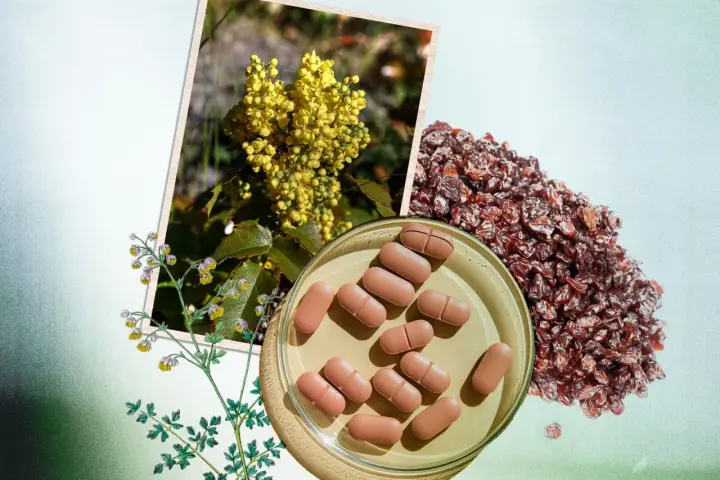 Berberina para adelgazar: extracto de planta amarilla, bayas secas y pastillas en un plato.
