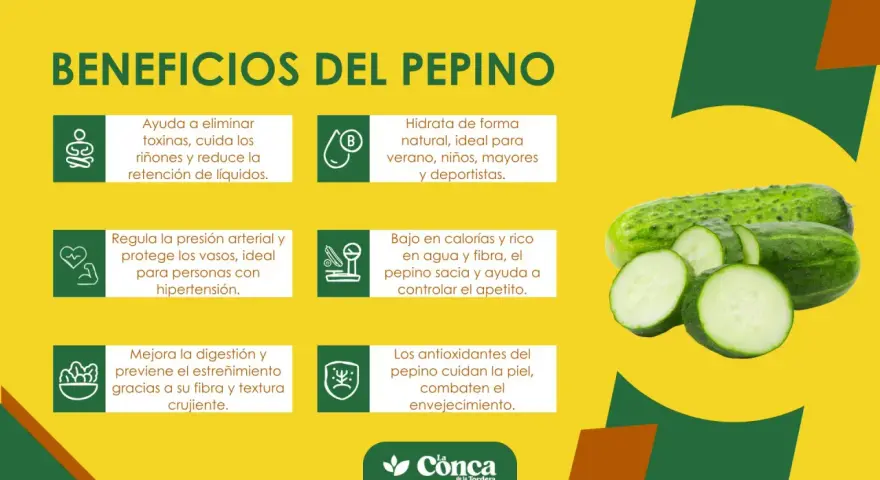 Beneficios del pepino: hidrata, ayuda a eliminar toxinas, regula la presión, mejora digestión y cuida la piel. ¡Un aliado para tu salud!