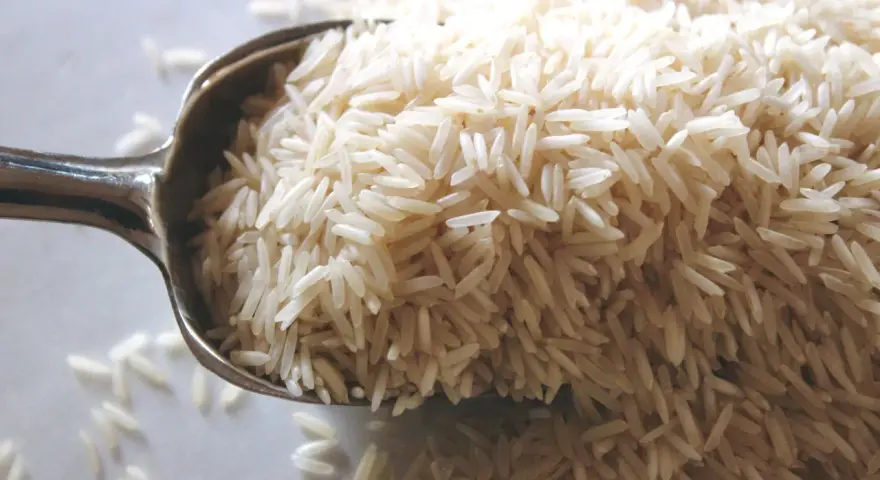 Cuchara llena de arroz basmati. Aunque la crema de arroz engorda, este grano es un carbohidrato básico.