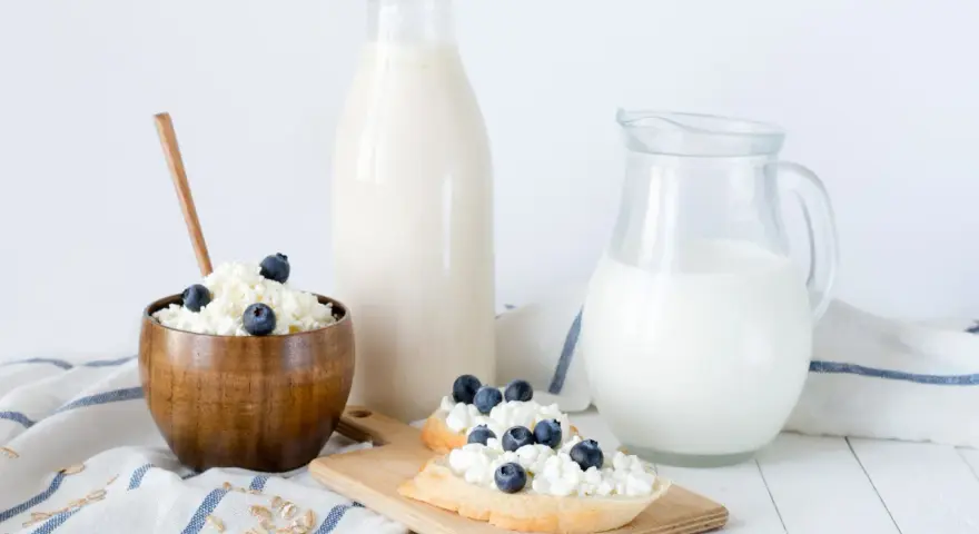 Desayuno saludable: requesón con arándanos, pan y leche. La caseína es una proteína láctea.