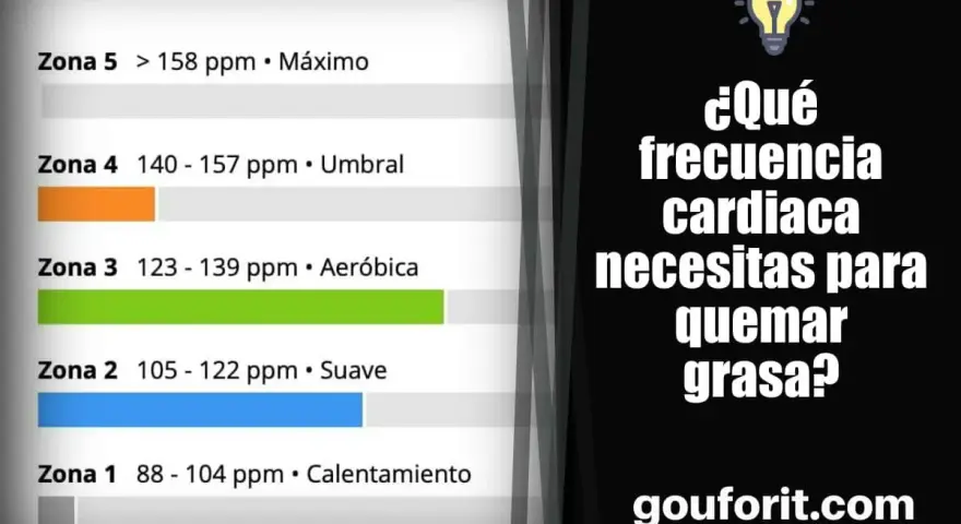 Tabla de zonas de frecuencia cardíaca para quemar grasa. Muestra rangos de pulsaciones para calentamiento, suave, aeróbico, umbral y máximo.