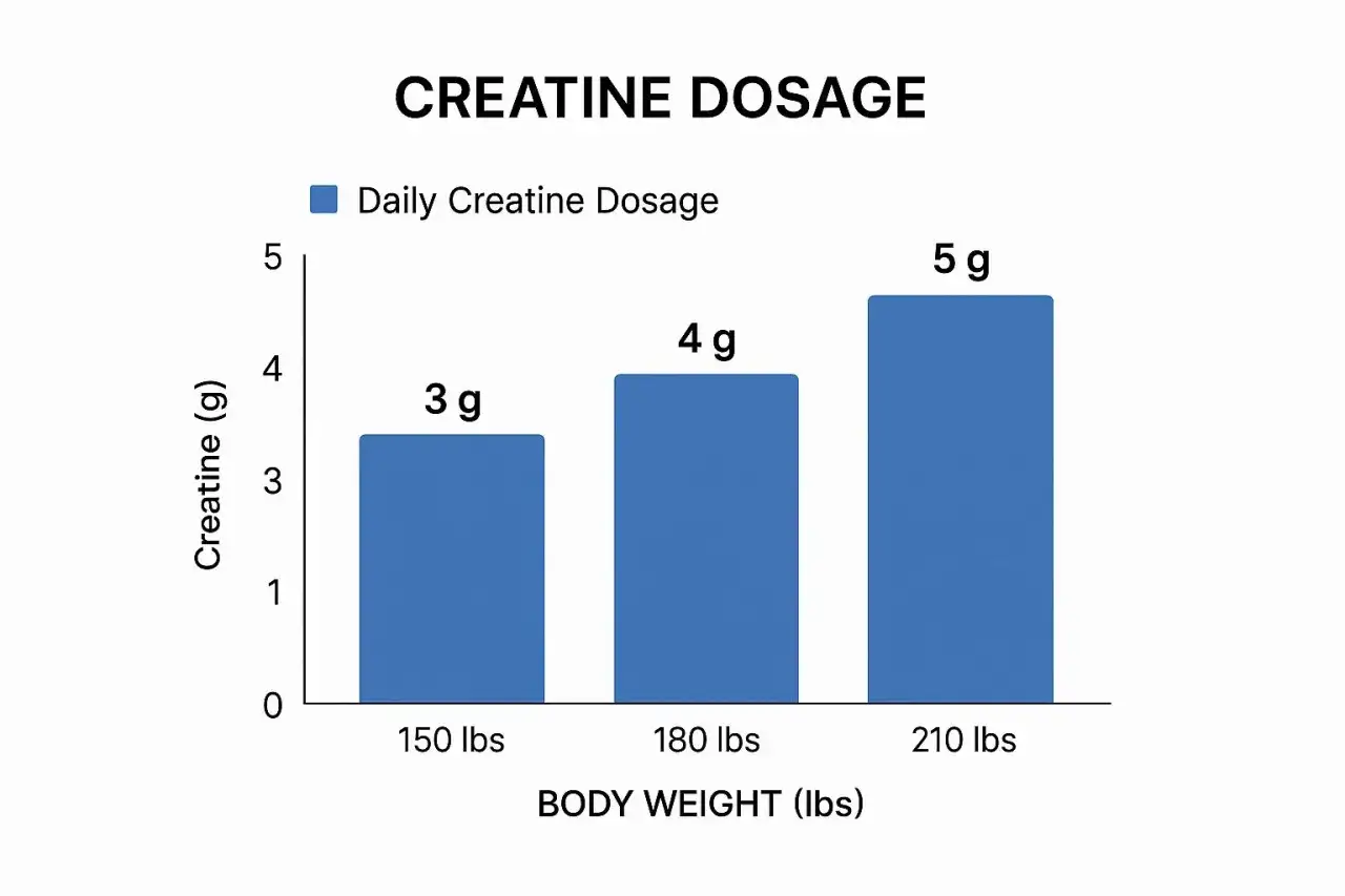 Gr&aacute;fico de barras muestra la dosis de creatina por peso corporal. 150 lbs: 3g, 180 lbs: 4g, 210 lbs: 5g.