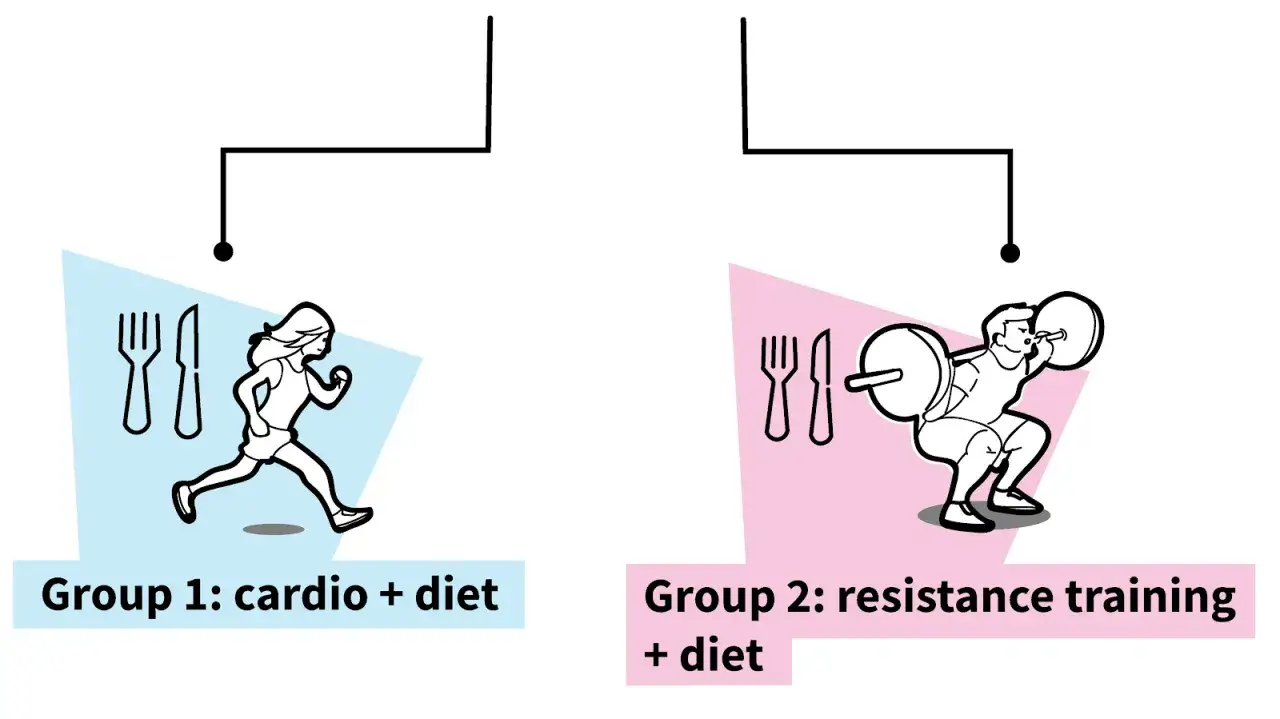 ¿Qué es mejor para perder peso: cardio o pesas? El grupo 1 corre y el grupo 2 levanta pesas, ambos con dieta.