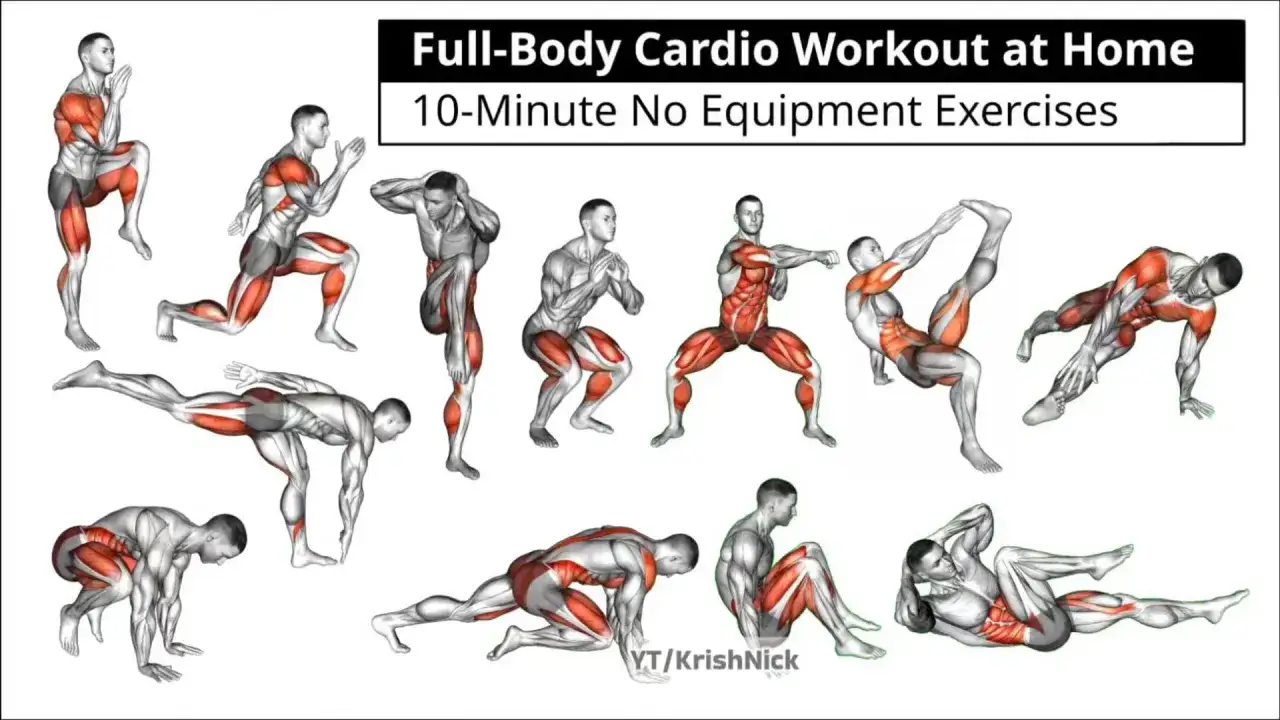 Serie de ejercicios de cardio en casa sin equipo. Muestra figuras humanas con músculos resaltados en varias posturas de entrenamiento.