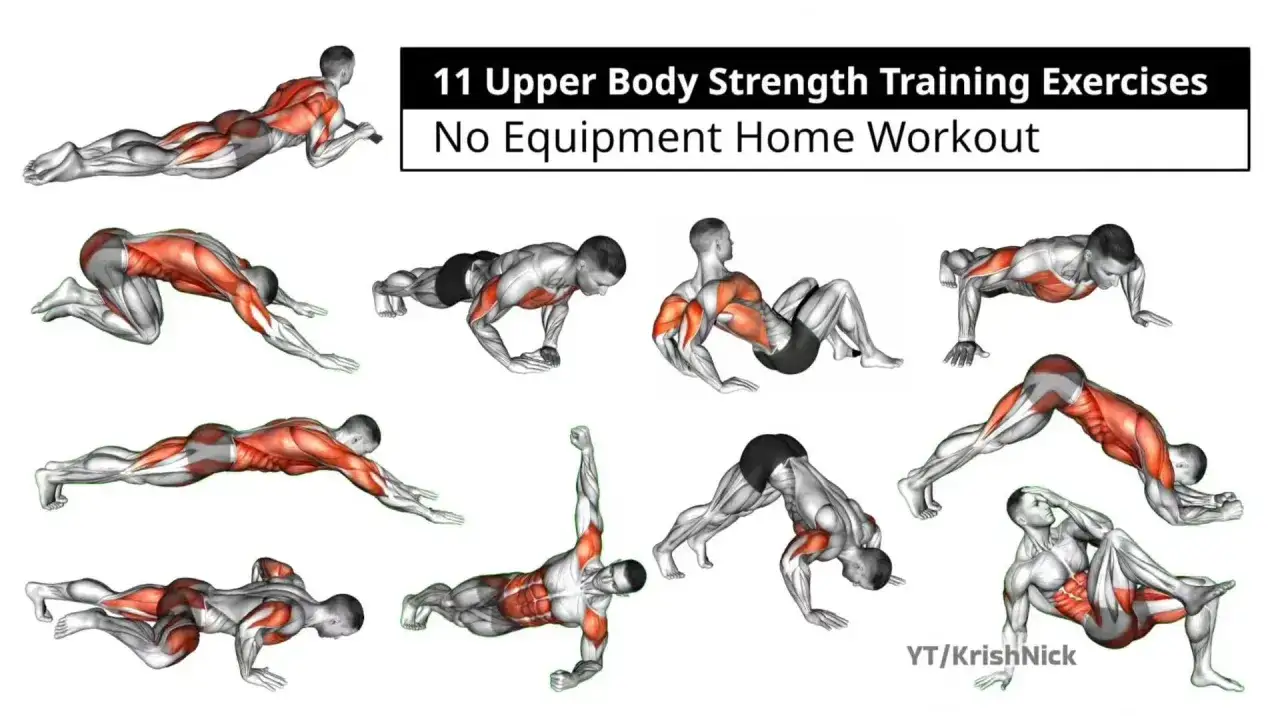 Ilustraciones de 11 ejercicios de fuerza para la parte superior del cuerpo, sin equipo, ideales para ejercicios de espalda en casa.