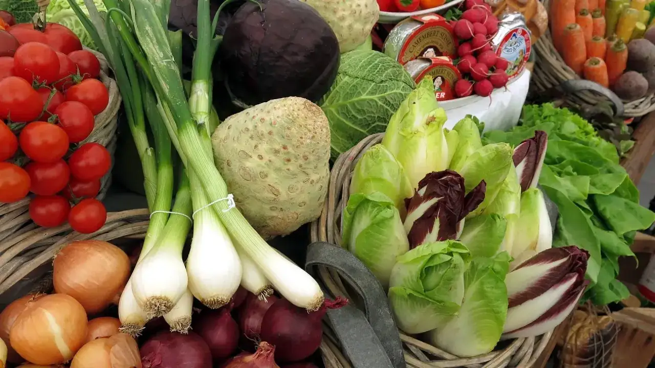 Cebollas, tomates, apio, lechugas y rábanos, una variedad de alimentos con silicio para una dieta saludable.