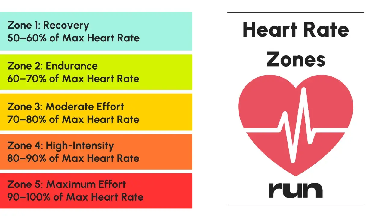 Gr&aacute;fico de zonas de frecuencia card&iacute;aca para correr, &uacute;til para saber c&oacute;mo bajar tu ritmo card&iacute;aco en reposo.