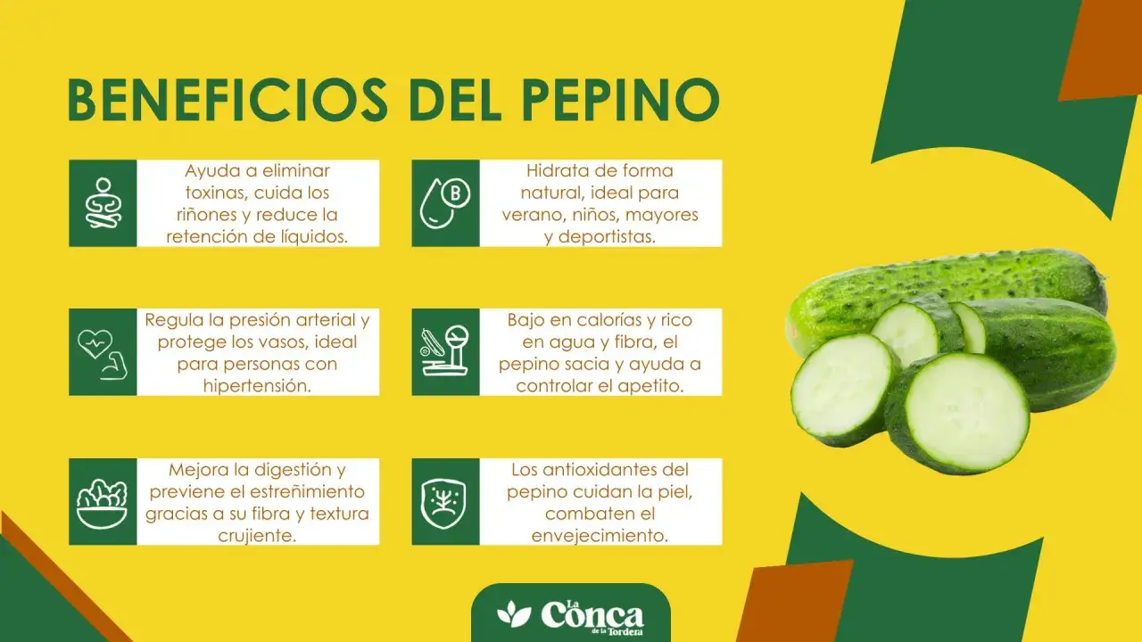 Beneficios del pepino: hidrata, ayuda a eliminar toxinas, regula la presión, mejora digestión y cuida la piel. ¡Un superalimento!