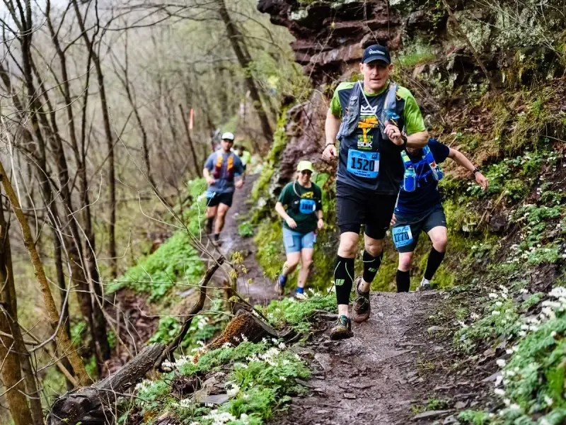 Corredores en un sendero boscoso, demostrando la resistencia necesaria para los ejercicios de fuerza para trail running.