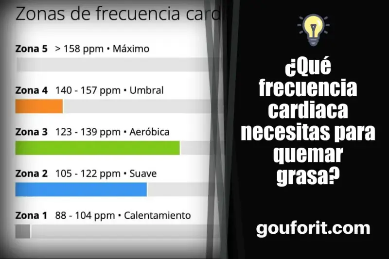 Tabla de zonas de frecuencia cardíaca para quemar grasa. Muestra rangos de pulsaciones para calentamiento, suave, aeróbico, umbral y máximo.